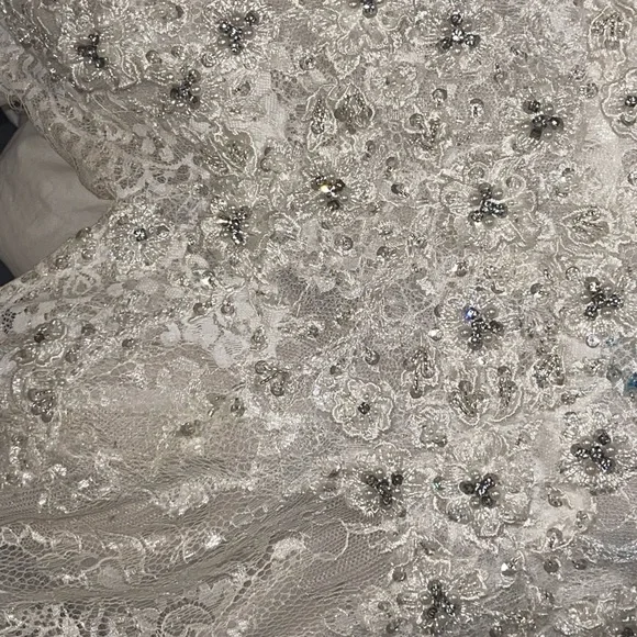 Maggie Sottero Dahlia - Picture 4 of 10